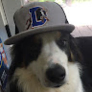 Meet your Posher, Zechonite